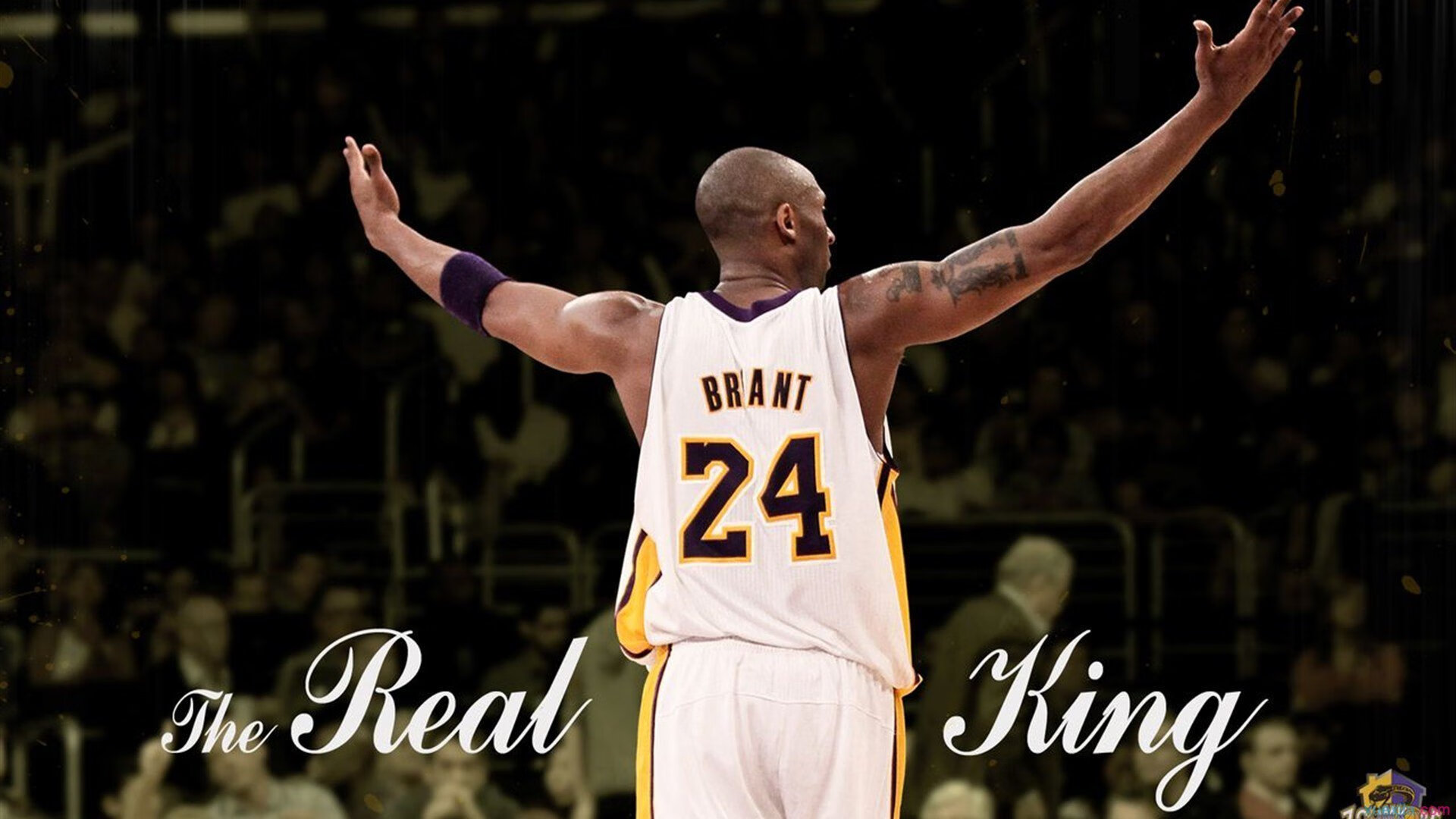 美洲杯明星对抗:个人技术点燃全场,美洲杯新星