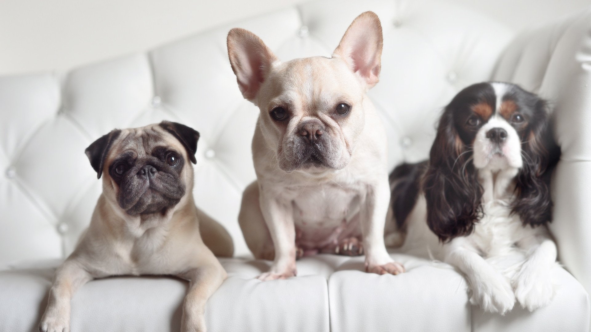 开云备用-_篮网火力全开，联盟第一步步兑现_，篮网出战