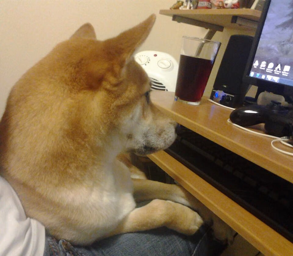 开云娱乐官网-德甲青训营吸引大量年轻才俊加盟，德甲青训体系